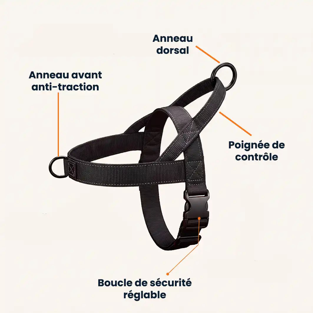 Harnais anti-traction pour chien - KANINE