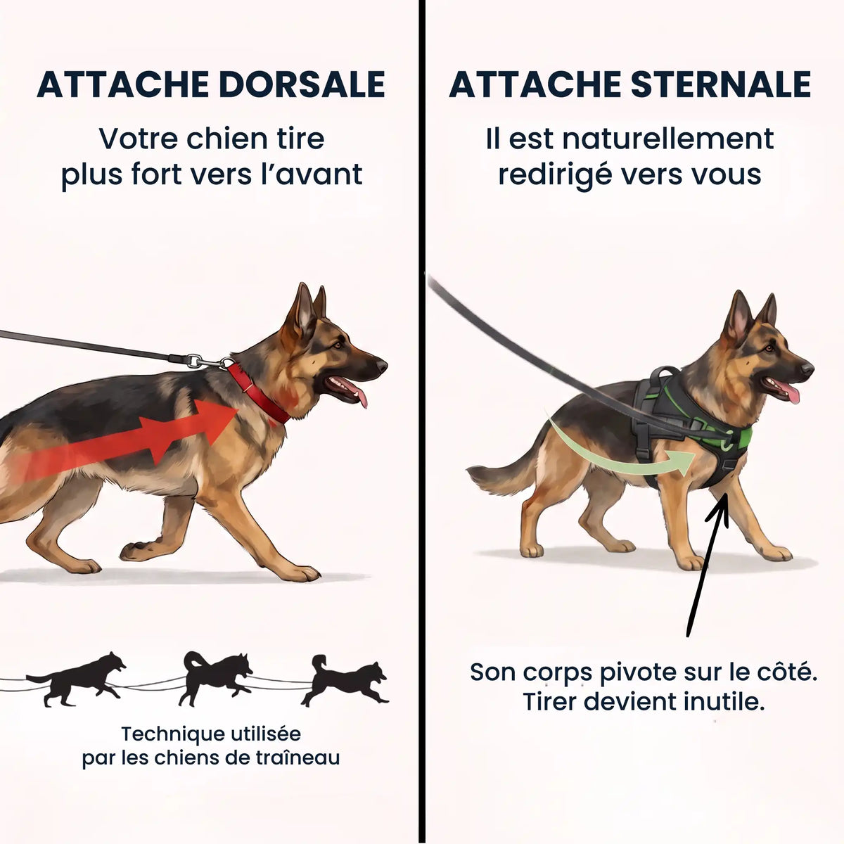 Harnais anti-traction pour chien - KANINE