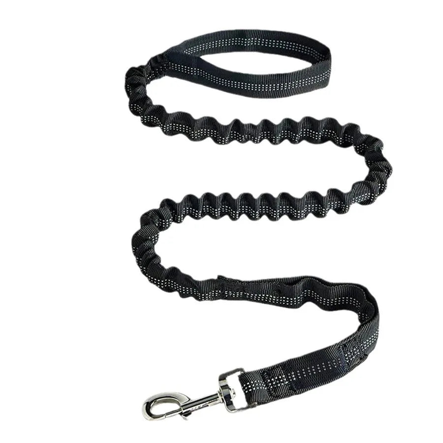 Laisse élastique anti-traction