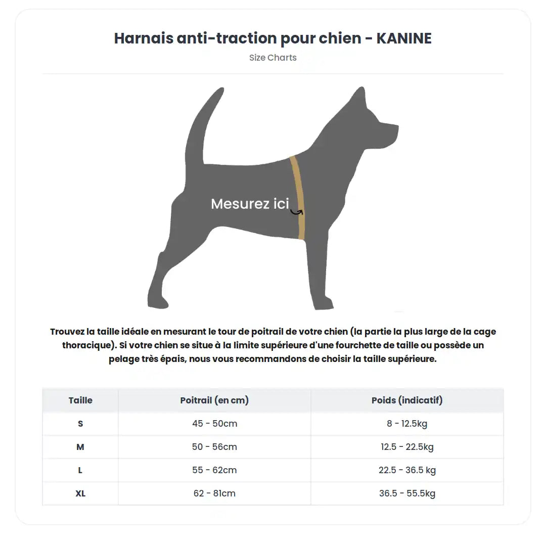 Harnais anti-traction pour chien - KANINE